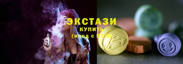 индика Саяногорск