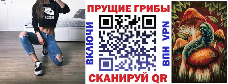 что такое   Красноуфимск  дарк нет какой сайт  Псилоцибиновые грибы Psilocybine cubensis 